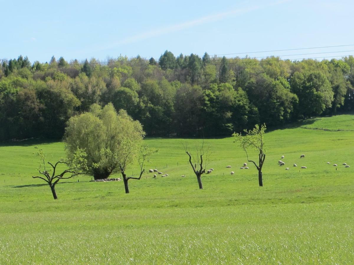 Gites Du Tilleul Gumbrechtshoffen Bagian luar foto