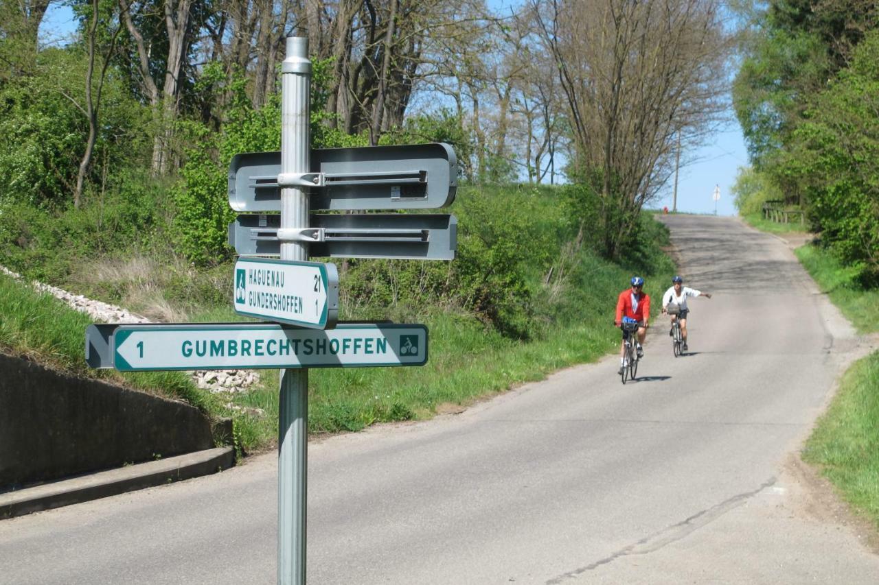 Gites Du Tilleul Gumbrechtshoffen Bagian luar foto